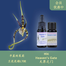 H06天界之门 清理湿冷让爱充满生命英国生命之树兰花花精液体颗粒