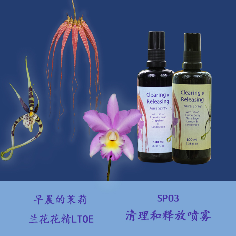 SP03 Cleaning up and release of the stubborn negative frequency Lanflower bouquet 100ml external spray for clear people and space
