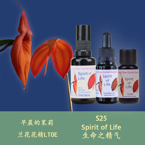S25 The essence of life nourishing Yin and nourishing Yang the tree of life orchid flower fine liquid granules