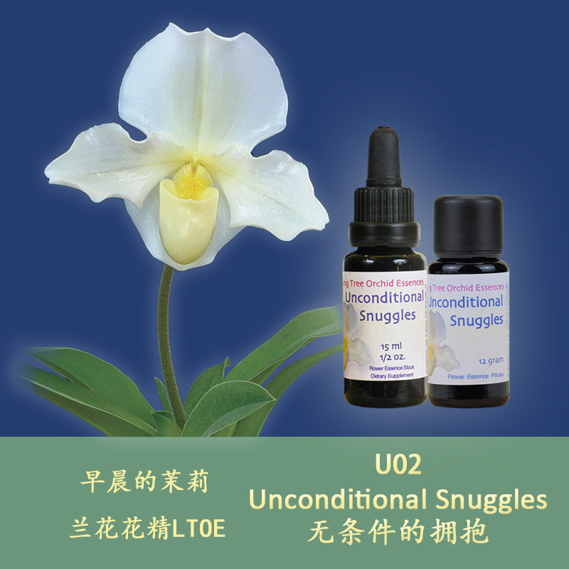 U02 Unconditional Embrace of Love Trust the love of others British LTOE Lanflower Flower Semen body granules