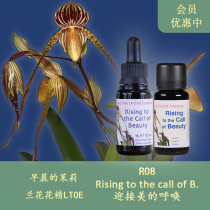 R08迎接美的呼唤 清理麻木感滋养美感 英国LTOE兰花花精液体 颗粒