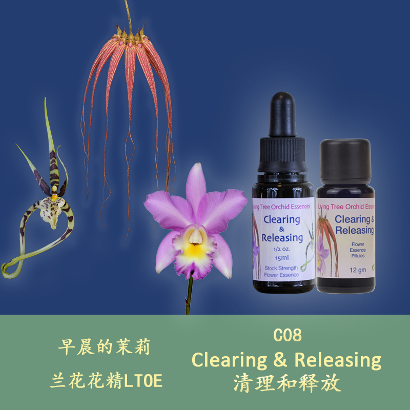 C08 Clean and Release Clear and Stable British LTOE Orchid Flower Essence Particles