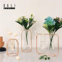 Nordic wrought iron ins hydroponic utensils flower arrangement test tube vase creative ornaments Golden modern home ornaments