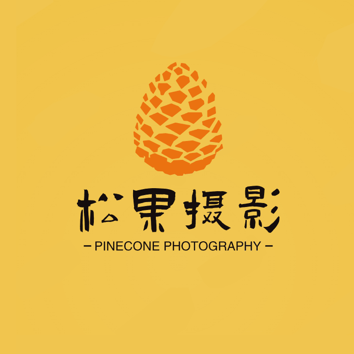 松果摄影海外店