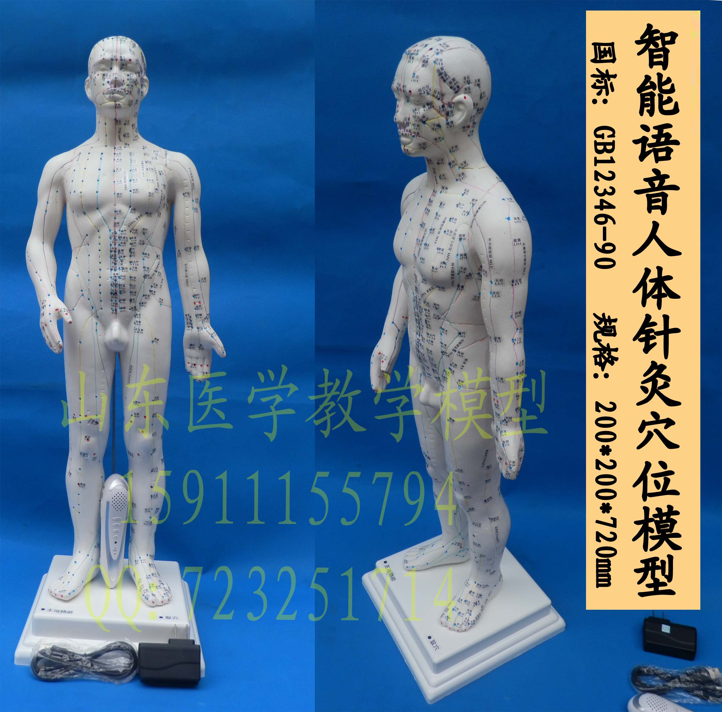 语音针灸模型 智能针灸模型语音点读针灸模型针灸模型