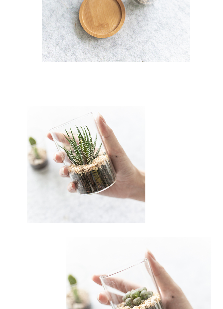 [谷雨] Bắc Âu kính thủy tinh mọng nước món ăn để bàn bình nhỏ thu nhỏ cây cảnh - Vase / Bồn hoa & Kệ chậu trồng hoa