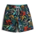 Bao sóng tốc độ khô quần thoáng khí bãi biển lỏng lẻo nam in thể dục quần short thể thao boxer năm điểm quần bơi xu hướng mặc Quần bãi biển