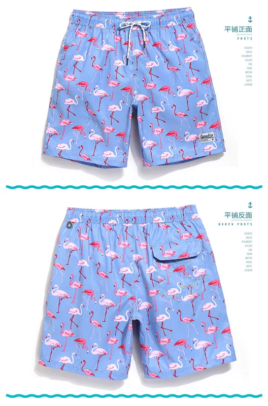 Gailang Holiday Beach Quần nam khô nhanh Kích thước lớn Quần short Spa lỏng lẻo Lưới tam giác lót Quần bơi nam Boxer - Quần bãi biển 	quần 7 màu đi biển