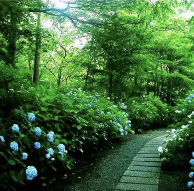老刘低调做鞋