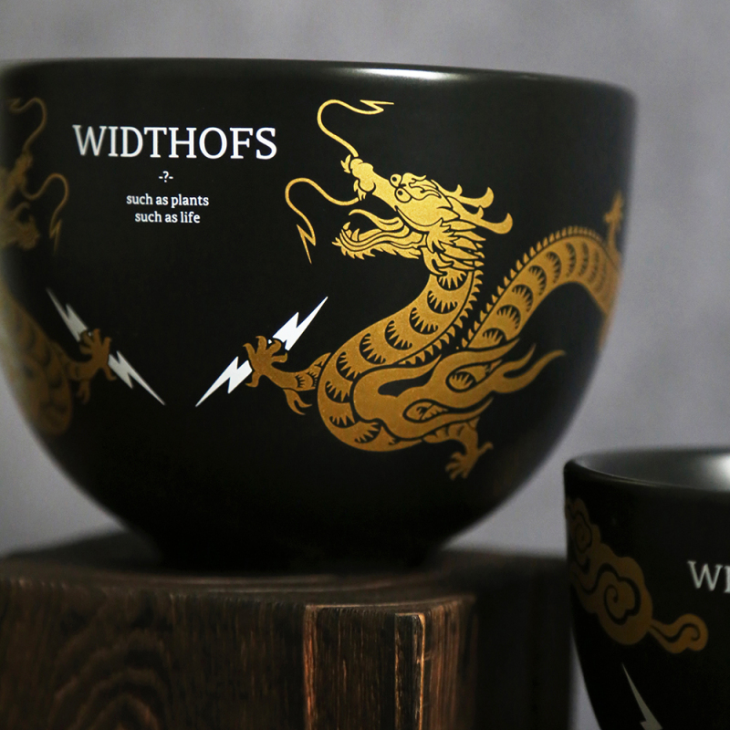 Limited Edition Wos Flower Pot Tuber Ceramic Trendy Plant Ivory Palace Turtle Shell Agave Widthofs Limited Edition Wos Flower Pot Tuber Ceramic Trendy Plant Ivory Palace Turtle Shell Agave Widthofs