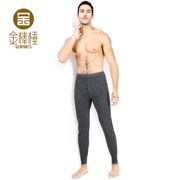 Golden Rod 棰 1029 Quần cashmere nam dày hơn Worsted được mã hóa Quần dày chống gió dày - Quần nóng lên