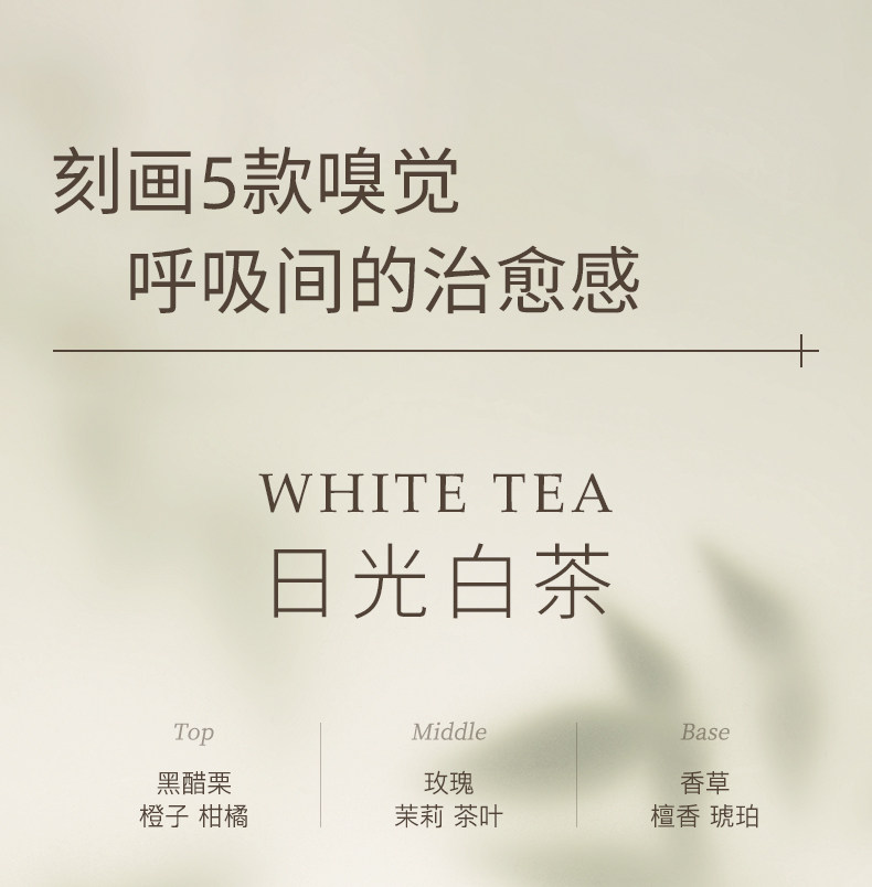 【中國直郵】小紅書爆款 水之蔻 止汗露 清新走珠香體露 20ml 松煙白檀