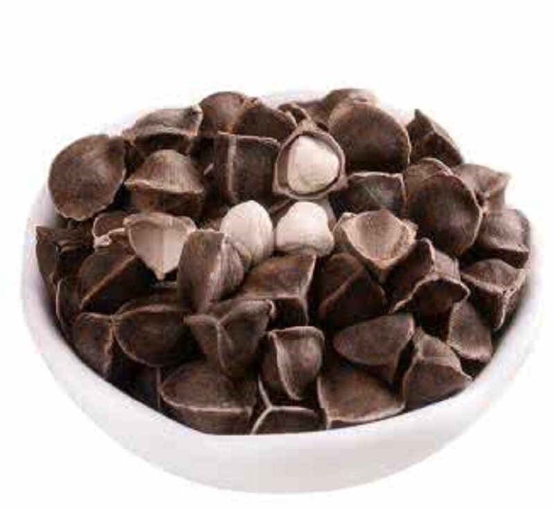 Chinese medicine is pure natural consumption of hot wood seed hot seed hot seed drum gavel tree seed 500g