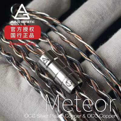 Audio Genetic Meteor monocrystalline copper and single crystal copper silver-plated hybrid upgrade wire earphones Wang AG