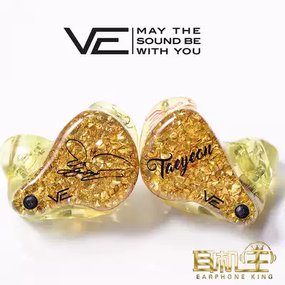 Mainland licensed Vision Ears XControlVE6 XCX1X2 custom VE6