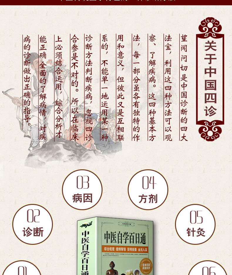 中医自学百日通中医养生书籍诊断学基础理论教程黄帝内经本草纲目中药入门学中药方推拿针灸医学全书三个月学懂中医入门知识大全