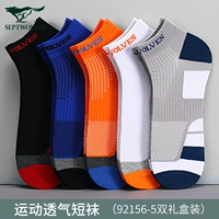 (Combed Cotton Lixed Color Model, Cycling Nocks) 92156