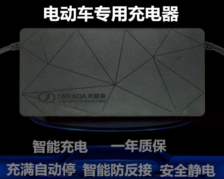 Longyuanquan smart electric vehicle charger 48V12AH48V20AH60V72V suitable for Lima Yadi Emma