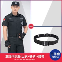 Летние штаны, ремень, короткий рукав