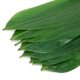 100 Small Bamboo Leaves for Sushi and Japanese Cuisine, Bamboo Leaves for Food Presentation and Decoration
