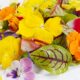 Freshly Arranged Decorative Flowers and Herbs for Hotel Western Cuisine, Cake Baking, Cold Dishes, Sushi Decoration, Embellishments with Pansies and Fragrant Wood