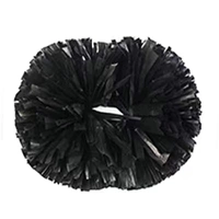 Большой черный