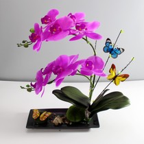 Butterfly Orchid Set Simulated Flower Artist Fittings Living Room Bedroom Menaka Table Decorations High-end Fake Pot Plants