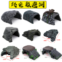 Tortoise Cave Tortoise Box Landscaping Scenic Scene Climbing Scandal Cave Large Lizard Snake Cave
