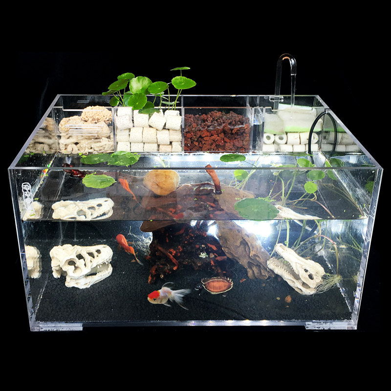 GOLD FISH TANK SMALL AQUARIUM GLASS FISH TANK LIVING ROOM TABLE TOP ECOLOGICAL WATER GRASS TROPICAL TURTLE TANK MEDIUM RECTANGLE