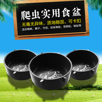 Reptile box land turtle box reptile reptile water basin reptile reptile Bath reptile Bath