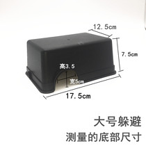 Plastic evasion of the Palace corn snake Spider Scorpion to avoid the cave to avoid plastic to avoid humidification and humidification