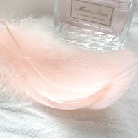 Более легкий