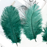 Храм темно-зеленого 15-20 волос верблюжьей птицы 10