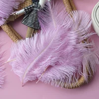 Светло-фиолетовые 15-20 верблюжьи птицы 10