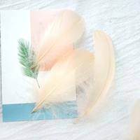 Абрикосовый