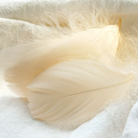 Ярко-желтый