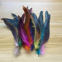 Яркий смешанный цвет 20-25 коктейль 50 корней