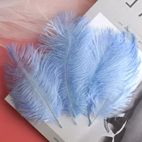 Светлое небо голубой 15-20 верблюжьи птицы 10