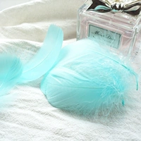 100 птиц плавают в голубой воде озера