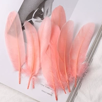 50 Rouge Powder Dargiers