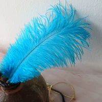 Озеро синий 15-20 верблюжьи птицы 10