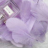 Фиолетовый