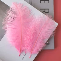 Розовые 15-20 верблюжьи птицы 10