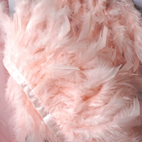 Мясовый порошок 4#длинная огненная пленка края 1 метр