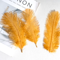 Золотисто-коричневый 15-20 волосы верблюжьей птицы 10