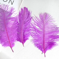 Фиолетово-красные 15-20 волос верблюжьей птицы 10