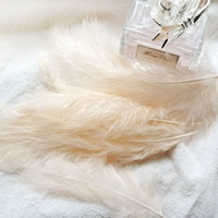 Цвета шампанского