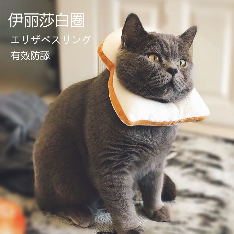 Elizabeth Circle Cat Cổ áo Mèo Cổ áo Elisabeth Vòng tròn Trắng Vải mềm Cat Pet Head Cover Chống mite Circle - Cat / Dog hàng ngày Neccessities Máng ăn cho chó con