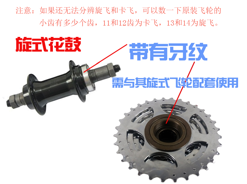 Pignon de vélo 8 vitesses - Ref 2367021 Image 9