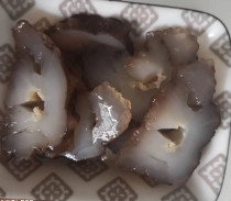 Spot Gulf of Mexico wild light dry scarce waist ginseng abalone ginseng fat beauty buckle bomb nutrition 7-10 years 454g